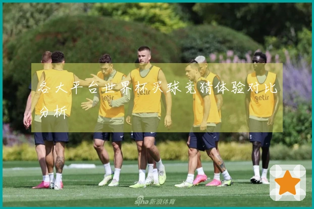 各大平台世界杯买球竞猜体验对比分析