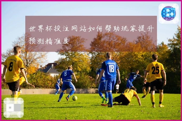 世界杯投注网站如何帮助玩家提升预测精准度