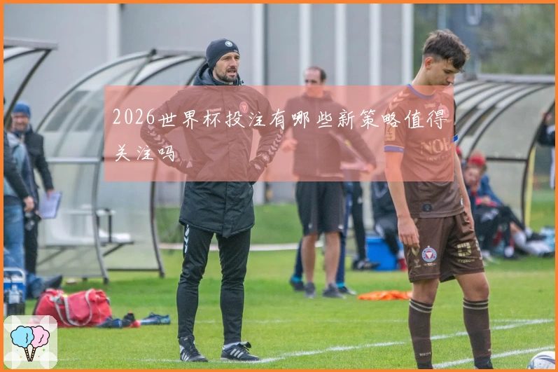 2026世界杯投注有哪些新策略值得关注吗