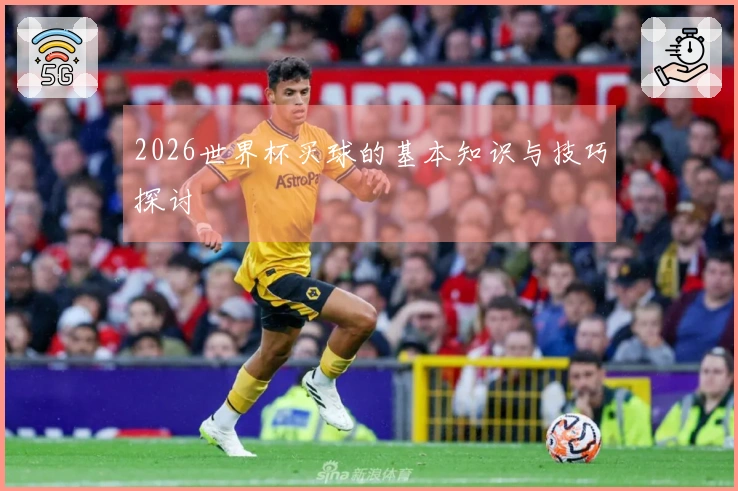2026世界杯买球的基本知识与技巧探讨