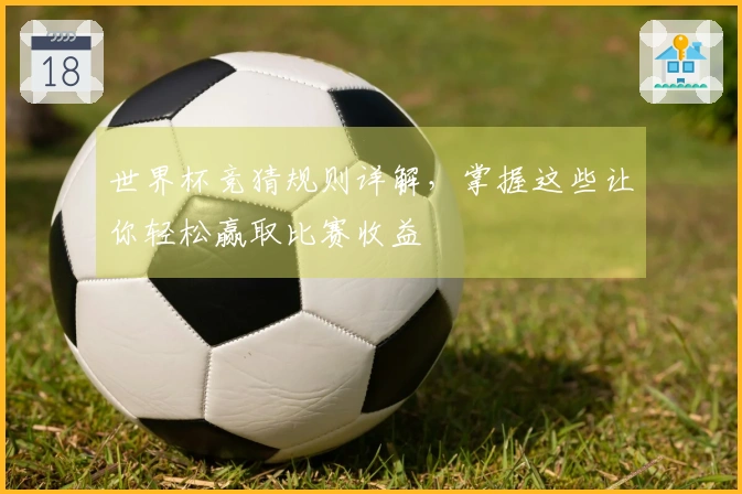 世界杯竞猜规则详解，掌握这些让你轻松赢取比赛收益