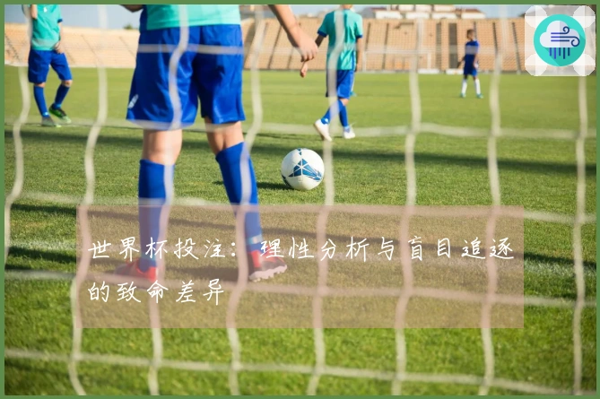 世界杯投注：理性分析与盲目追逐的致命差异