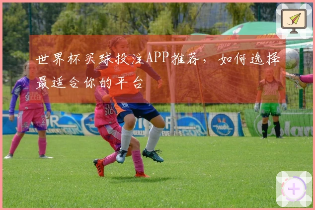 世界杯买球投注APP推荐，如何选择最适合你的平台