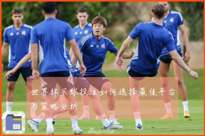 世界杯买球投注如何选择最佳平台与策略分析