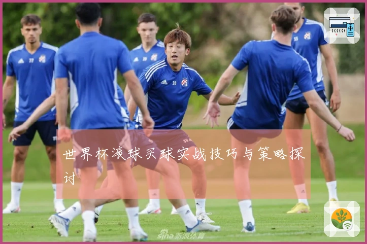世界杯滚球买球实战技巧与策略探讨