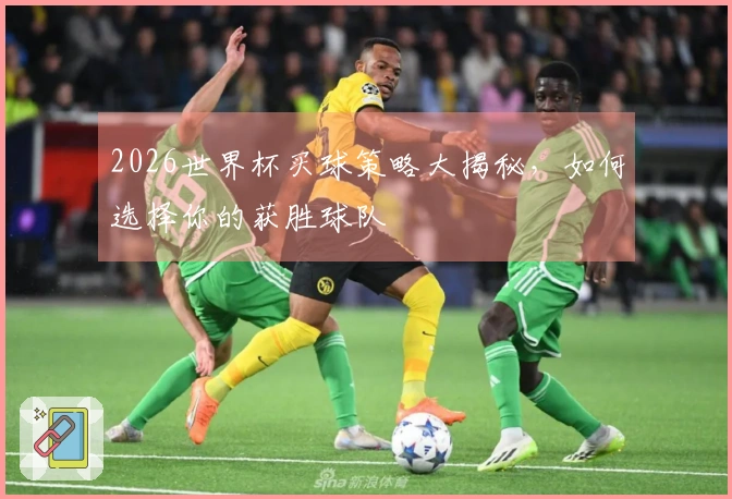 2026世界杯买球策略大揭秘，如何选择你的获胜球队